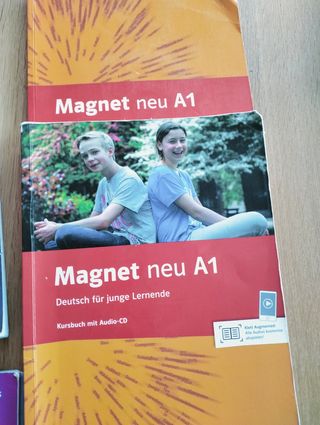 libros de 6°primaria