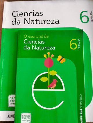 libros de 6°primaria