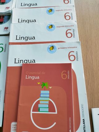 libros de 6°primaria