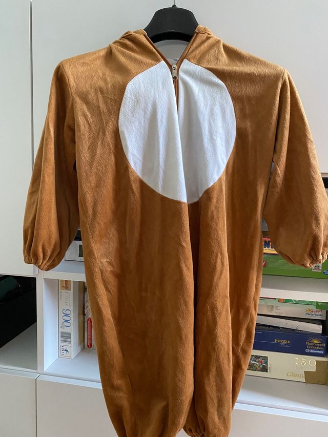 Costume di carnevale leone