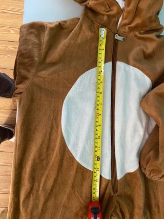 Costume di carnevale leone