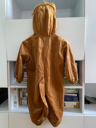 Costume di carnevale leone