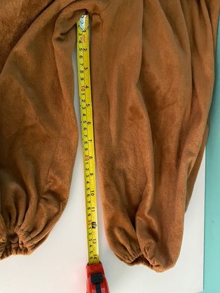 Costume di carnevale leone