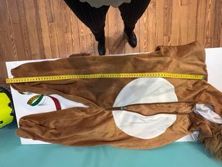 Costume di carnevale leone