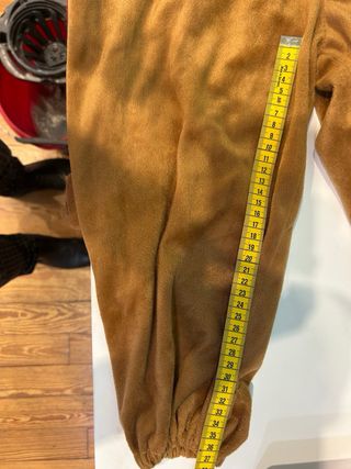 Costume di carnevale leone