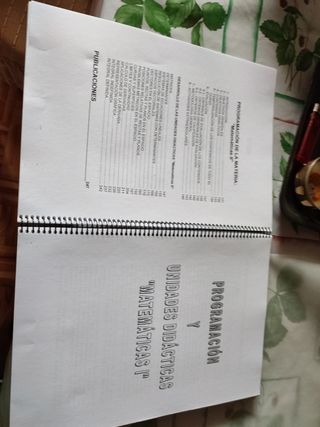 PROGRAMACIÓN Y UNIDADES DIDÁCTICAS.