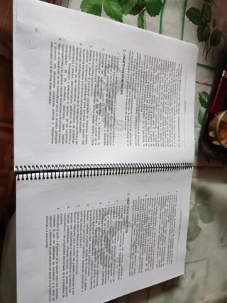 PROGRAMACIÓN Y UNIDADES DIDÁCTICAS.