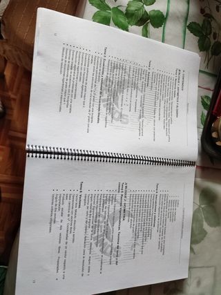 PROGRAMACIÓN Y UNIDADES DIDÁCTICAS.