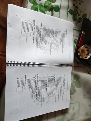 PROGRAMACIÓN Y UNIDADES DIDÁCTICAS.