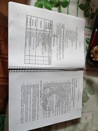 PROGRAMACIÓN Y UNIDADES DIDÁCTICAS.