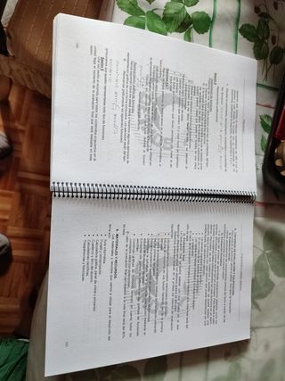 PROGRAMACIÓN Y UNIDADES DIDÁCTICAS.