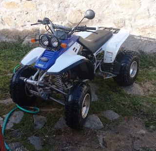 Yamaha warrior