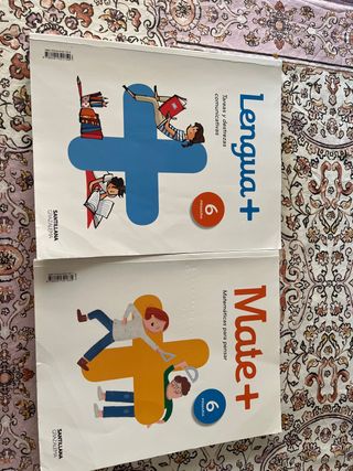 Libros de texto 6 primaria