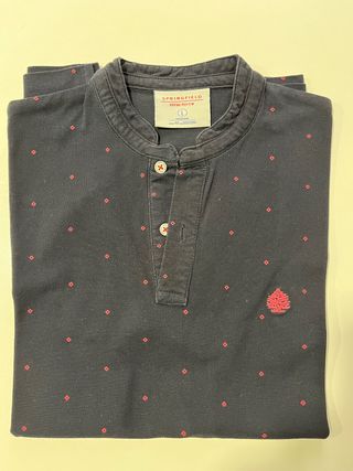 Lote camisetas Tommy y Springfield