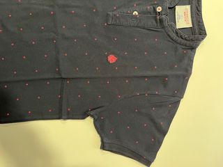 Lote camisetas Tommy y Springfield