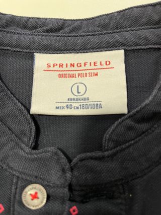 Lote camisetas Tommy y Springfield