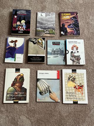 Libros de lectura de primaria y secundaria.