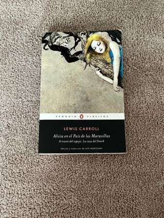 Libros de lectura de primaria y secundaria.