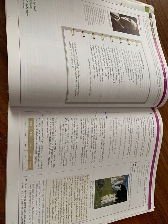 2 bachillerato llengua i literatura sm arrels