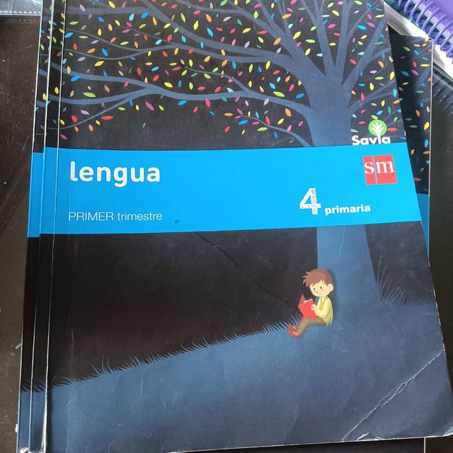 libros 4 primaria SM savia