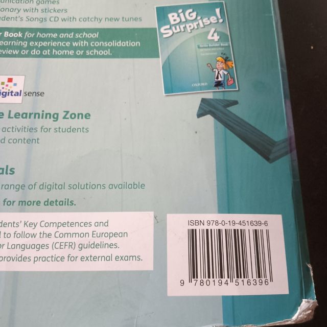 Big surprise 4 class book