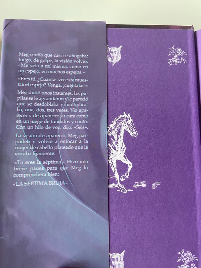 Libro la séptima bruja