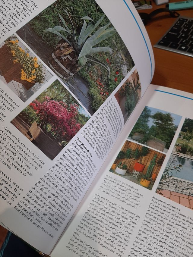 LIBRO "PLANTAS Y FLORES"