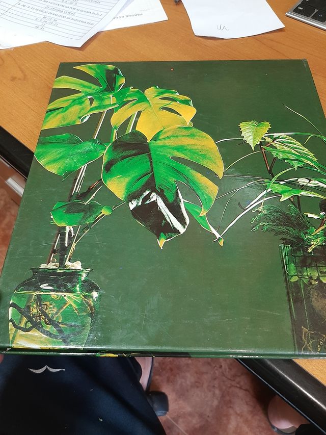 LIBRO "PLANTAS Y FLORES"