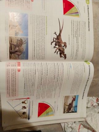 Biología y geología 4 ESO