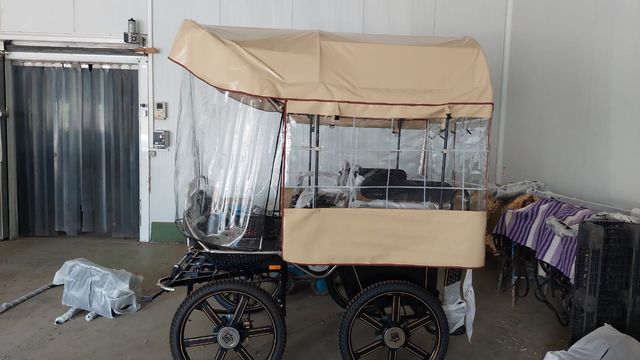 MARATON CON Y SIN PALIO