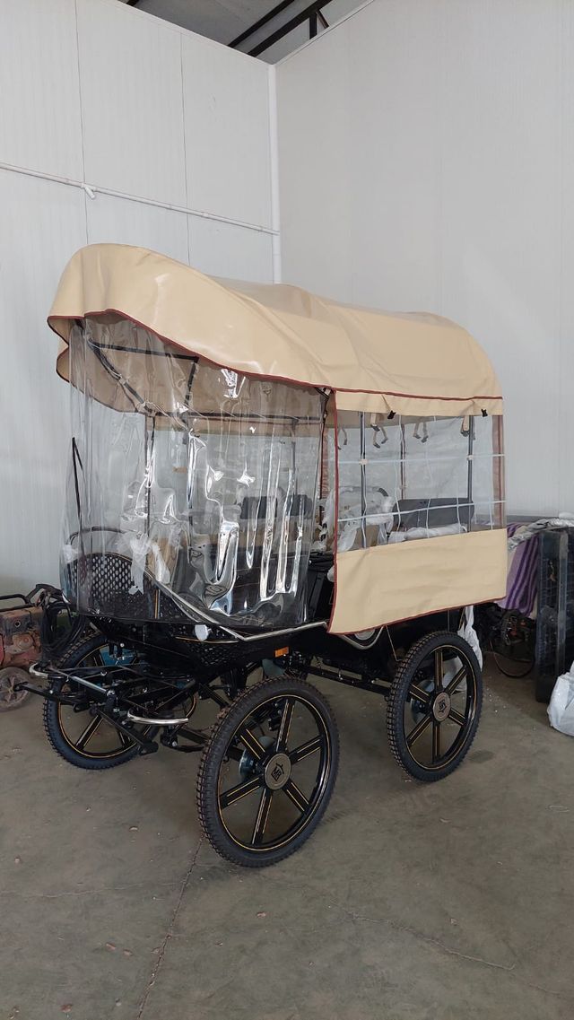 MARATON CON Y SIN PALIO