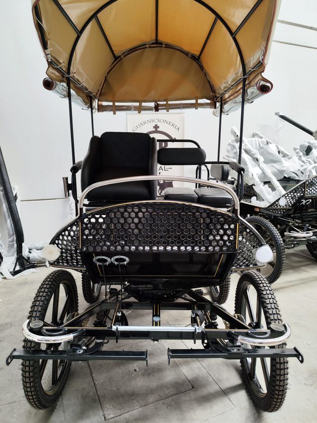 MARATON CON Y SIN PALIO