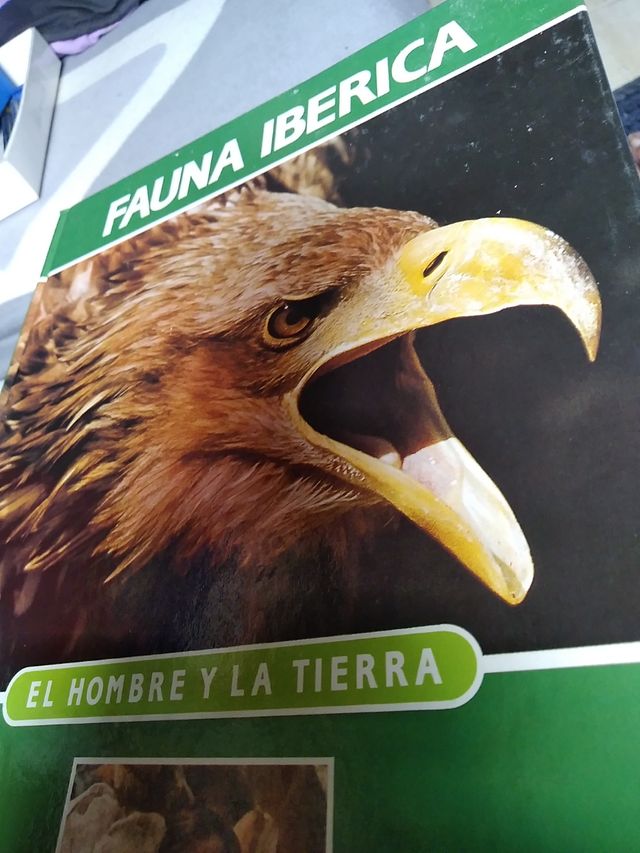 Félix Rodríguez de la fuente fauna ibérica