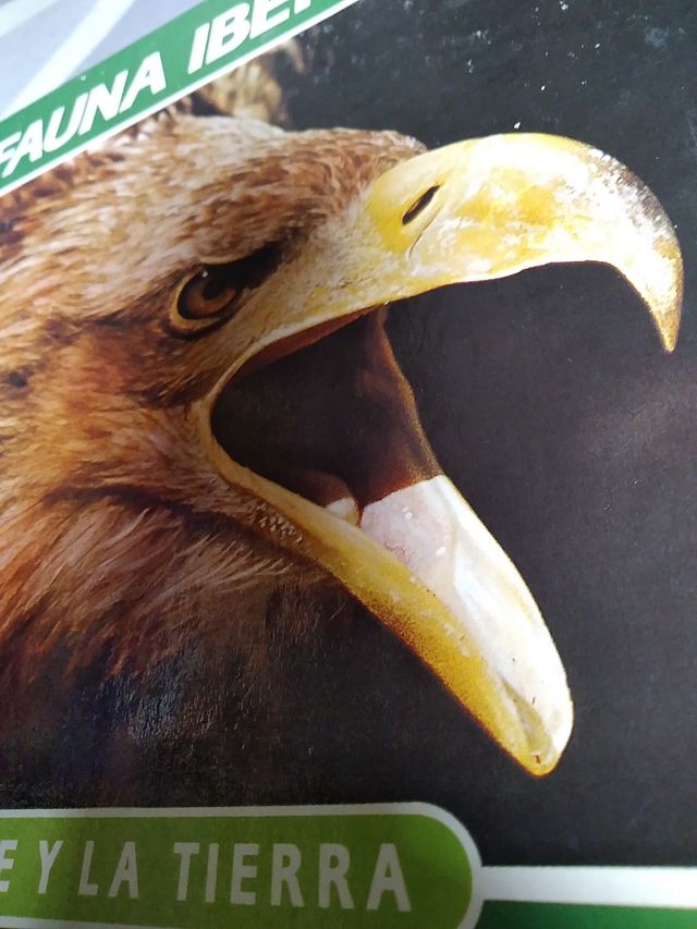 Félix Rodríguez de la fuente fauna ibérica