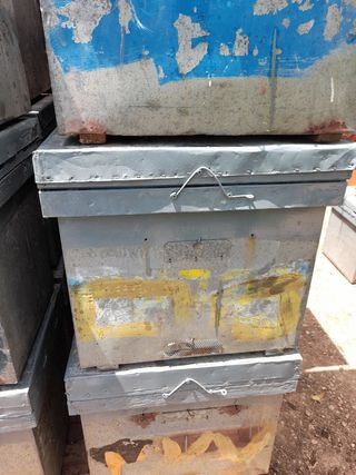 Colmenas layens con cuadros