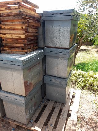 Colmenas layens con cuadros