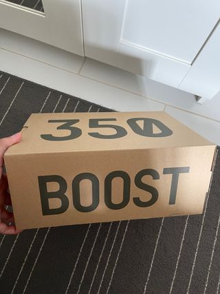 Yeezy boost 350 V2