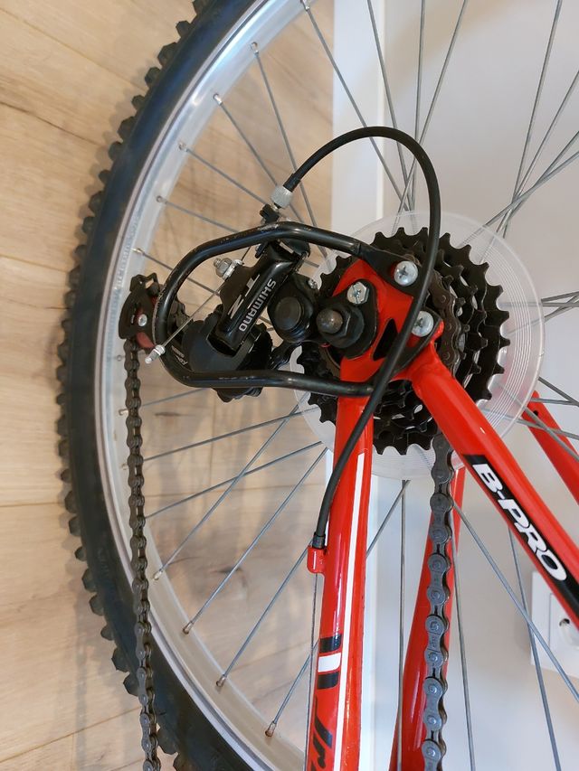 Bicicleta B-pro Jr 24,cambios shimano.