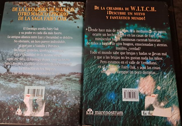 libros infantiles Fairy oak