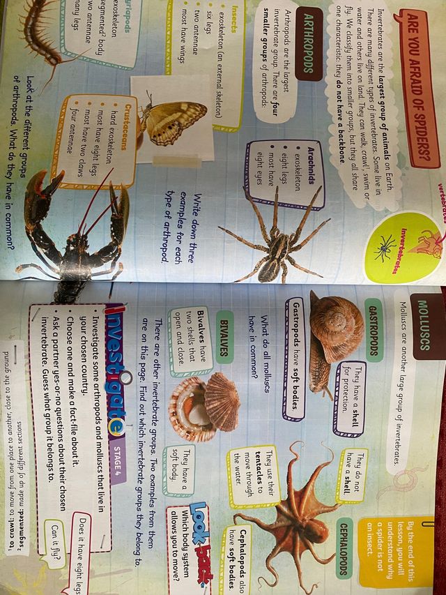 Cambridge Natural Science Level 3 Pupil's Book