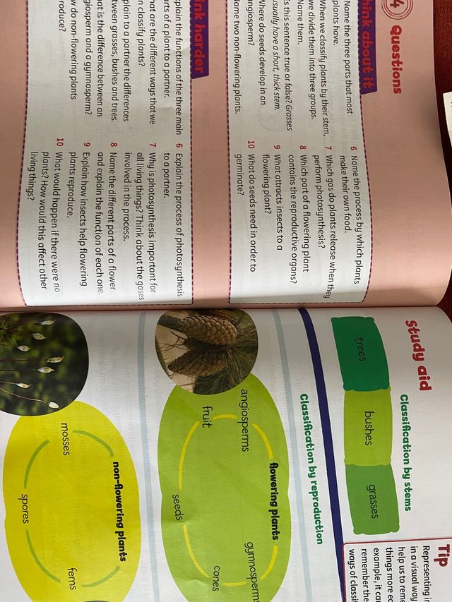 Cambridge Natural Science Level 3 Pupil's Book