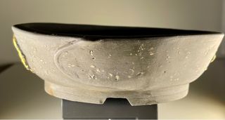 Heian Kosen, acer palmatum, bonsai, maceta, japón.