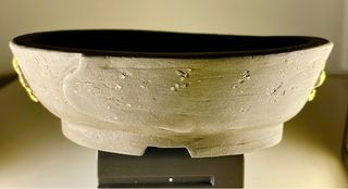 Heian Kosen, acer palmatum, bonsai, maceta, japón.