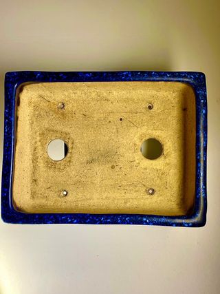 Aiba Koyo Fantasía, maceta, japón, bonsai.