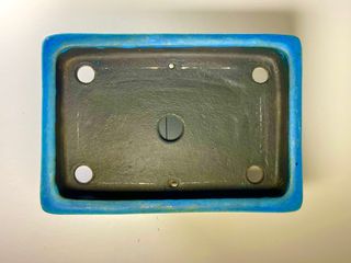 Aiba Koyo, azul, maceta, Japón.