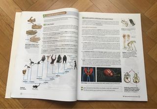 Cultura Científica. Bruño. 1 Bachillerato