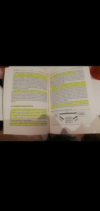 Ciència política per a principiants