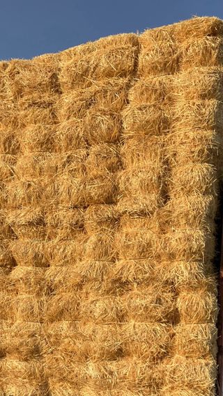 paja de cebada de secano y tambien de trigo