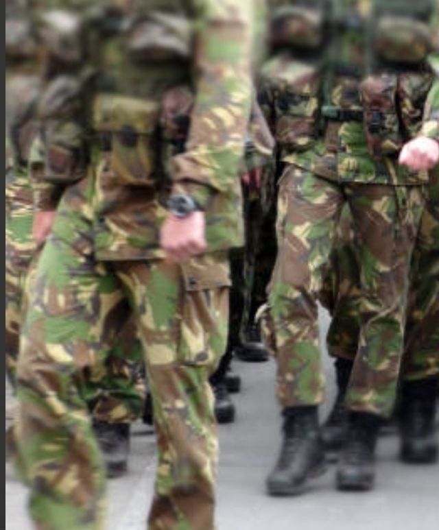 Pantalón Ejército Holandés DPM Large/Long