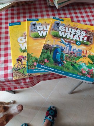 libros de inglés 6 primaria